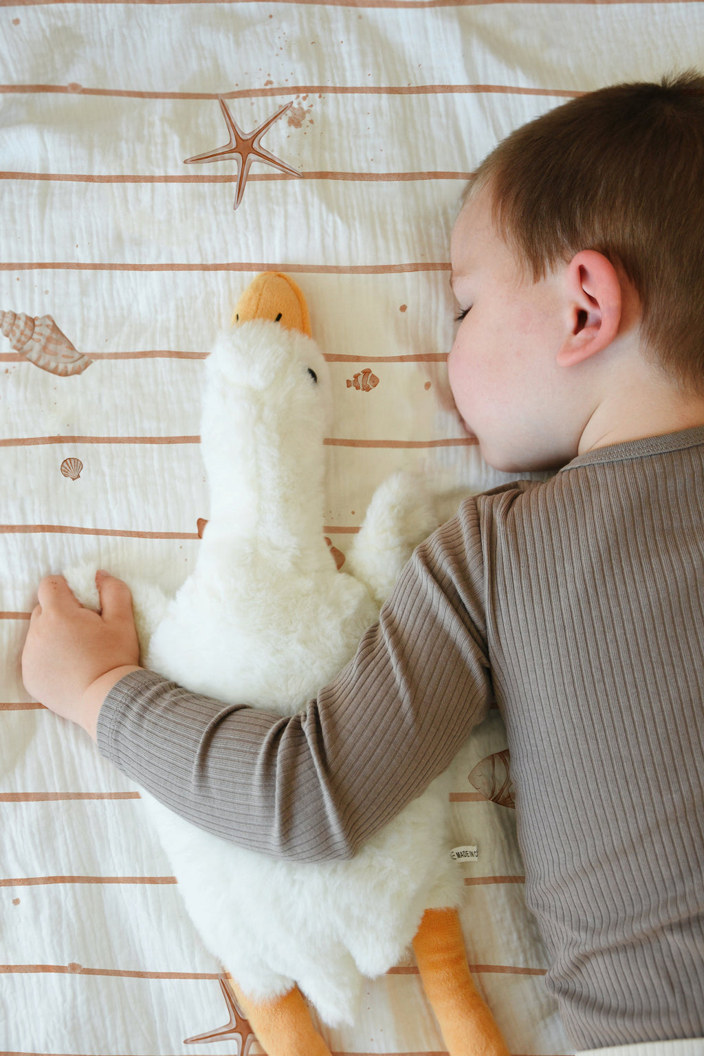 Kleine Seesterne Kinderbettwäsche