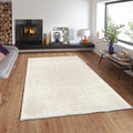 Light beige washable rug on wooden floor in modern living room with fireplace